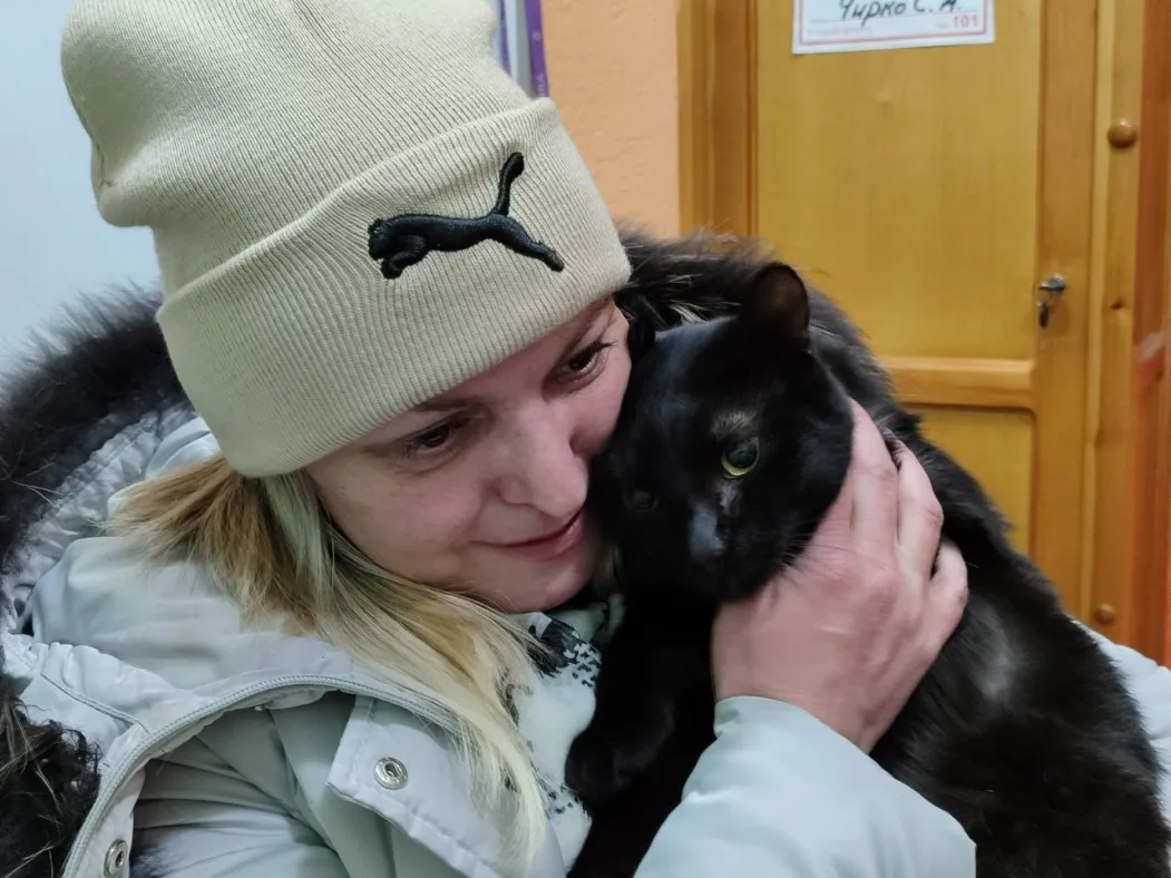 Предновогоднее чудо: в Ухте пропавшего полгода назад кота вернули хозяевам