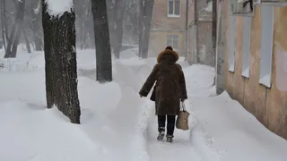 «С понедельника станет бесплатным для каждого пенсионера РФ». Новая льгота вводится с 29 апреля