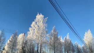 Синоптики рассказали о погоде в Коми на сегодня, 17 декабря
