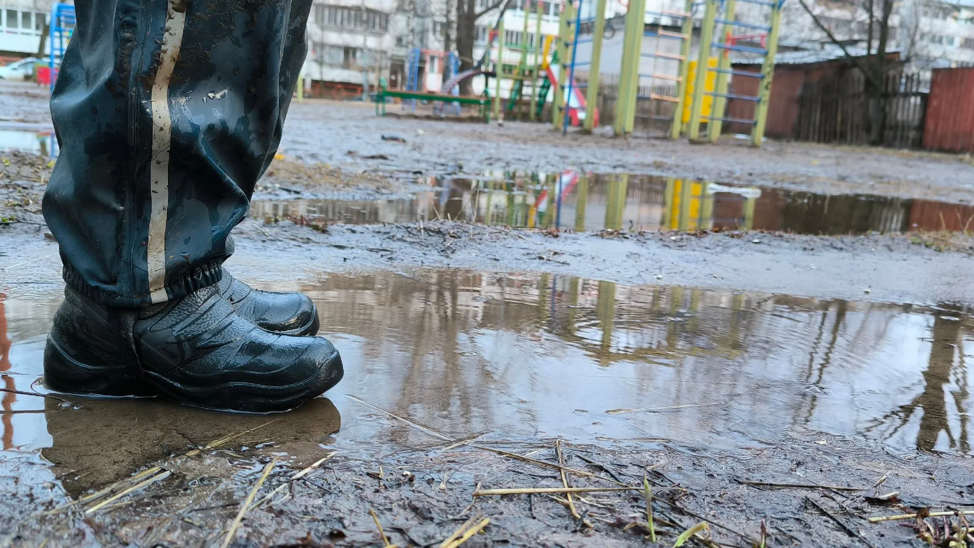 Аномальная жара нагрянет в середине февраля: весна придет раньше времени