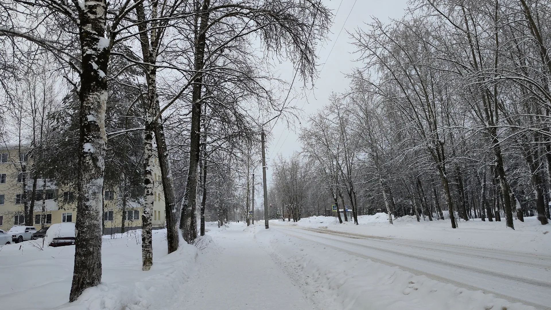 Погода в Коми на 26 января: сильный снег и +3°С