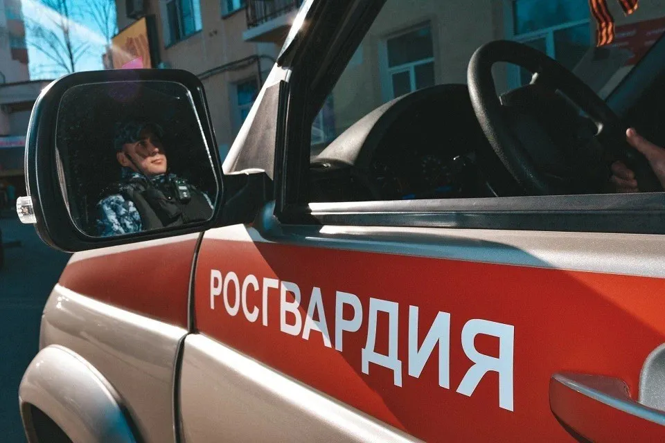 В Коми четверо мужчин и девушка устроили драку и были задержаны