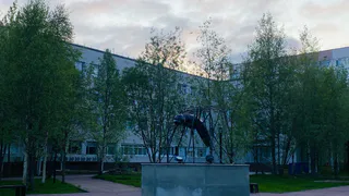 Две центральные аллеи одного из городов Коми обработают от комаров и мошки 