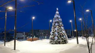 "Выходных не будет, того требует обстановка в стране": в новогодние праздники 2024-2025 внесли очень неприятные изменения