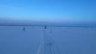 За жизнью диких оленей в Коми следили во время новогодних экспедиций