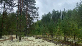 В Коми организовали военно-полевые сборы «Мобильный резерв – 2024»