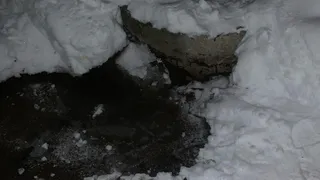 Сыктывкарцы жалуются на постоянный запах фекалий