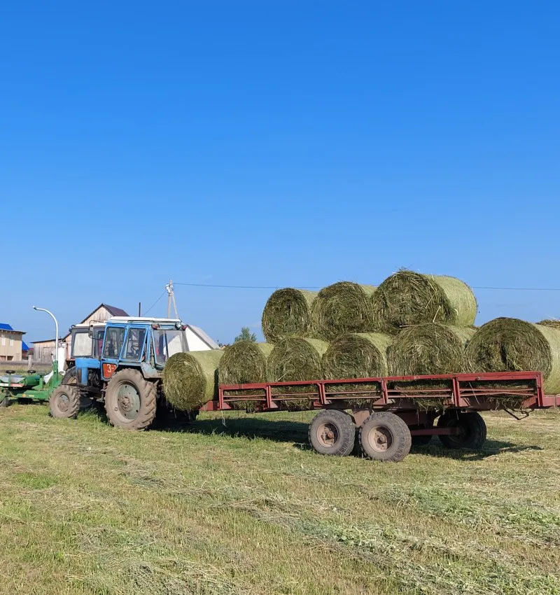 В Коми закончилась кормозаготовительная кампания