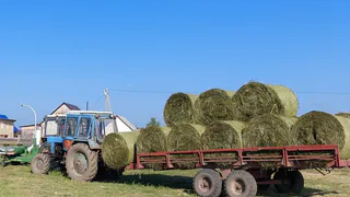 В Коми закончилась кормозаготовительная кампания