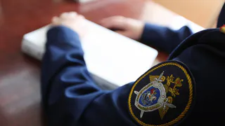 В Коми мужчину раздавило дерево