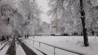 «Весна будет сумасшедшая». Синоптики рассказали, к чему готовиться