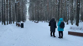 Проверят абсолютно всех: пенсионеров старше 60 лет ждут неожиданные новости с 29 марта