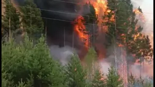 Коми лесной спецназ вернулся с победой из Забайкалья