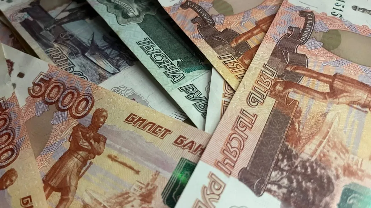 В Коми женщина поверила в быстрый доход от инвестиций и потеряла 10 миллионов