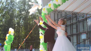 В Коми официальную регистрацию отношений предпочитают пары старше 35 лет