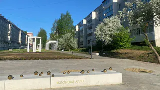 В Сыктывкаре на радость жителям преображается Яблоневая аллея
