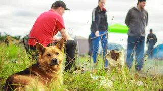В Республике Коми появляются глэмпинги для комфортного отдыха