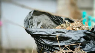 В Сыктывкаре запланировали провести субботники