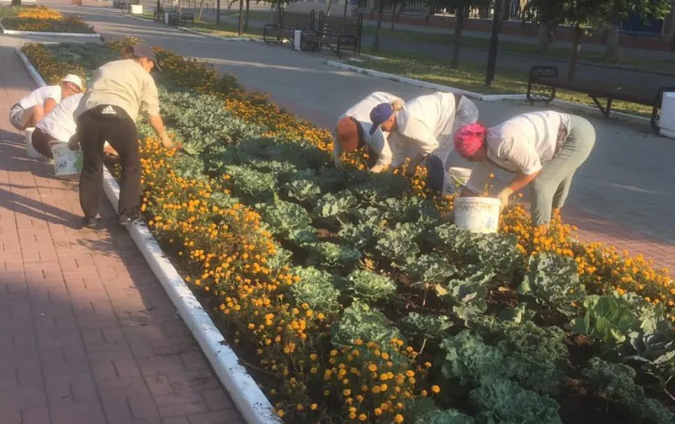 В одном из городов Коми на цветники потратят 8,5 миллионов рублей