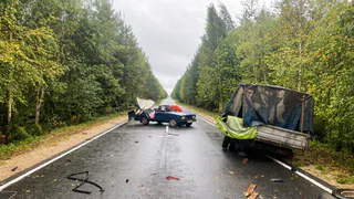 В двух ДТП из-за выезда на встречную полосу погибла девочка и получили травмы водители