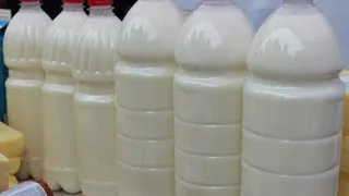 В Коми запустили цех по выпуску продукции от молока до мороженого