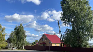 Жара накроет резко и без стука: Вильфанд раскрыл точную дату расцвета весны