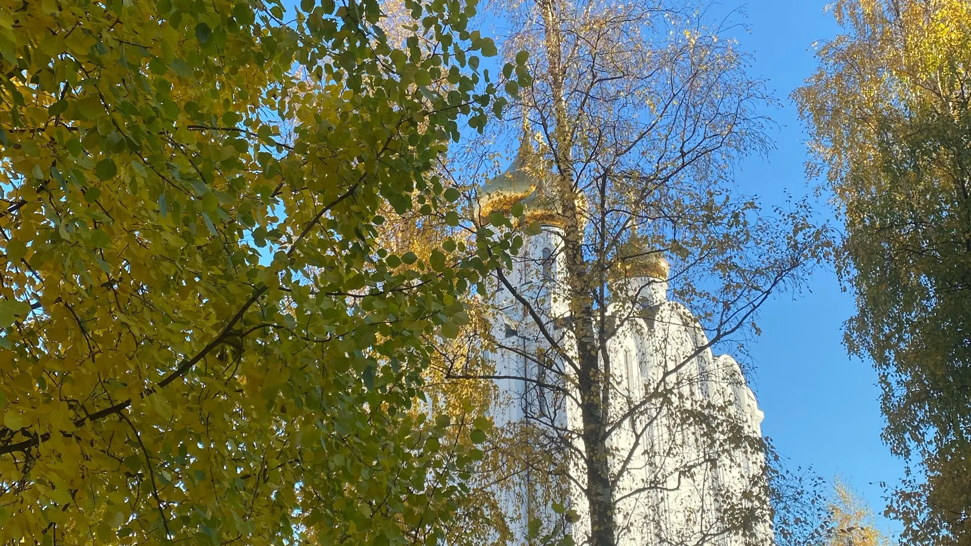 В начале сентября в Коми установится летнее тепло