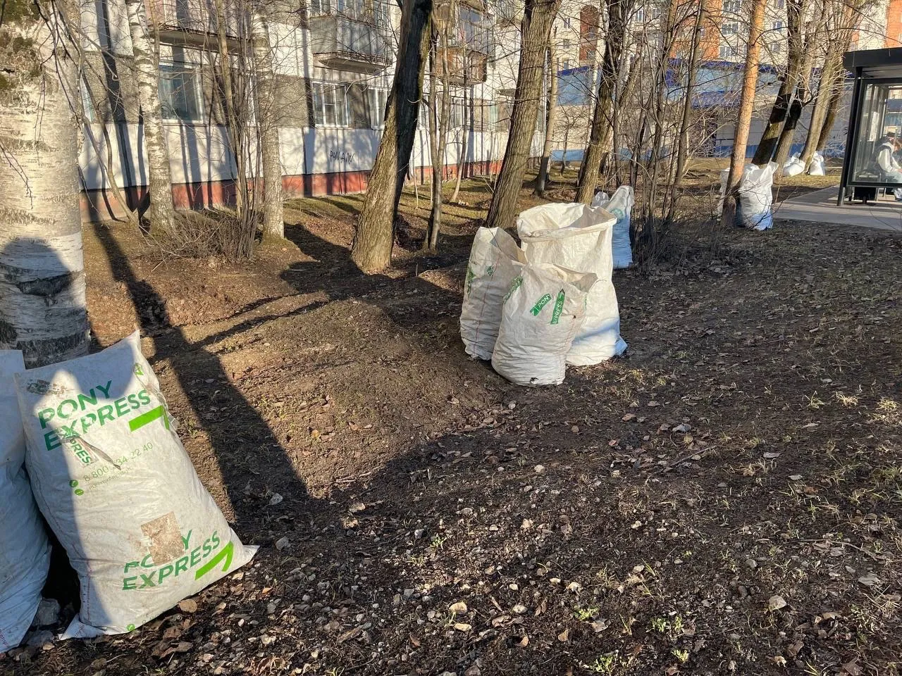 Коми показывает рост волонтерского движения