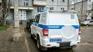 Жительница Коми подозревается в истязании собственных детей
