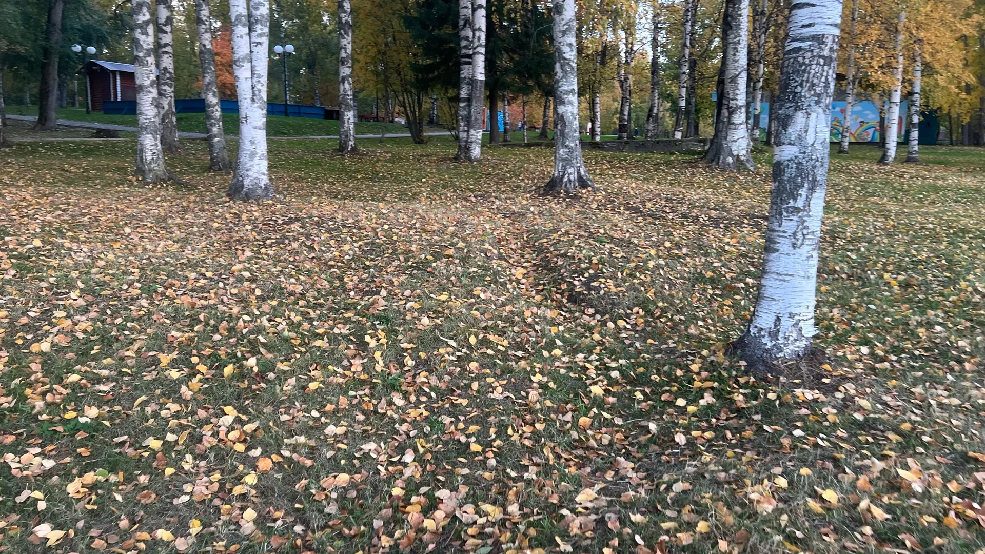 На этой неделе арктический холод накроет Коми