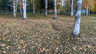На этой неделе арктический холод накроет Коми