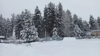Весной нагрянут суровые морозы, которые будут хлеще зимних: синоптики озвучили прогноз на март и апрель