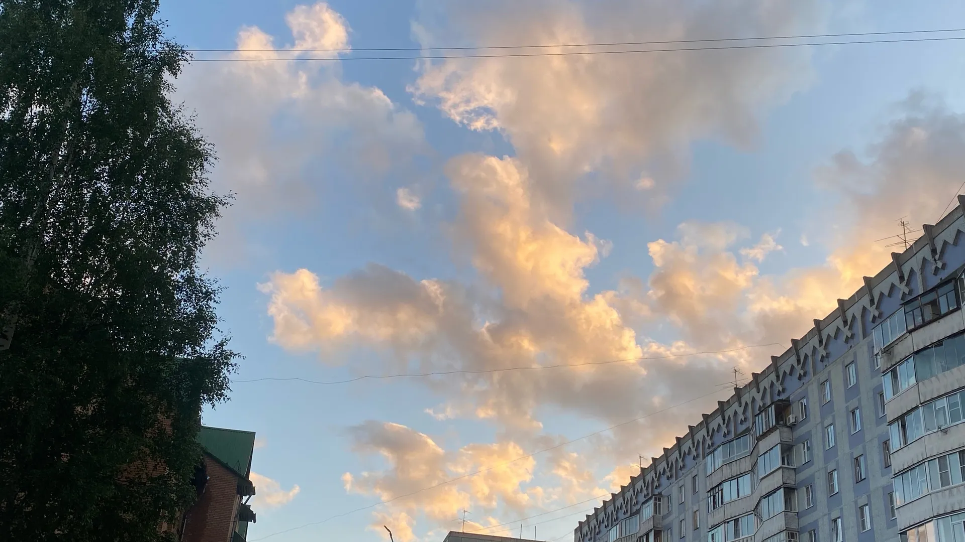 15 июля по прогнозу погоды Коми окатит летними ливнями с грозами