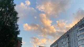 15 июля по прогнозу погоды Коми окатит летними ливнями с грозами 