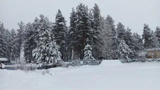 Прогноз погоды на 28 февраля обещает Коми от крепких морозов до снегопада