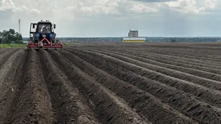В Коми аграрии, преодолевая капризы погоды, засеяли 77% полей
