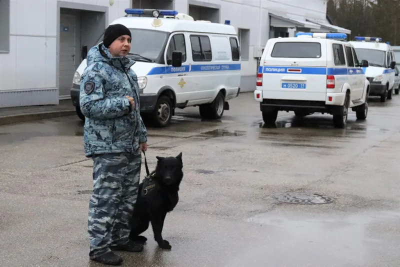 Служебные собаки раскрыли секреты профессии перед школьниками Сыктывкара