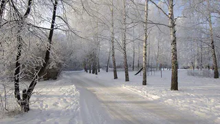 Прогноз погоды в Республике Коми на 23 декабря
