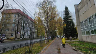1 октября Коми встретит дождём и мокрым снегом: прогноз погоды