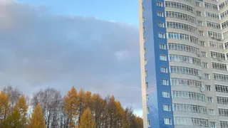Коми 15 октября встретит дождями и температурой до +13: прогноз погоды