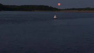 В Коми уровень воды в одной из рек упал больше, чем на метр
