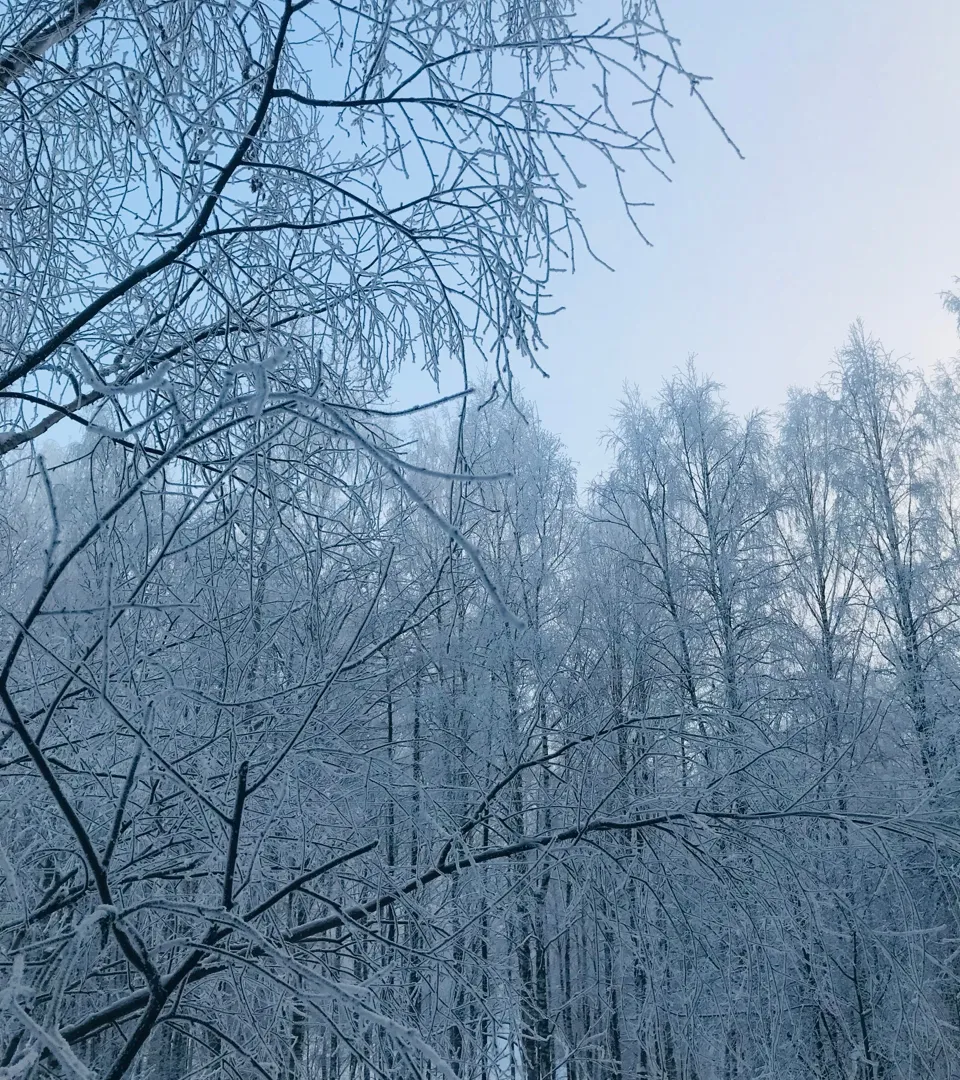 Циклоны принесут в Коми с понедельника погодные качели: от вьюги и -30°C до снега с дождем