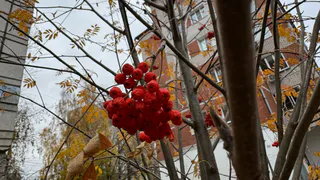 Коми 10 октября окажется во власти дождей и ночных заморозков: прогноз погоды