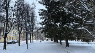 Погода в Коми 14 февраля: заметно похолодает, в Воркуте до -33°С