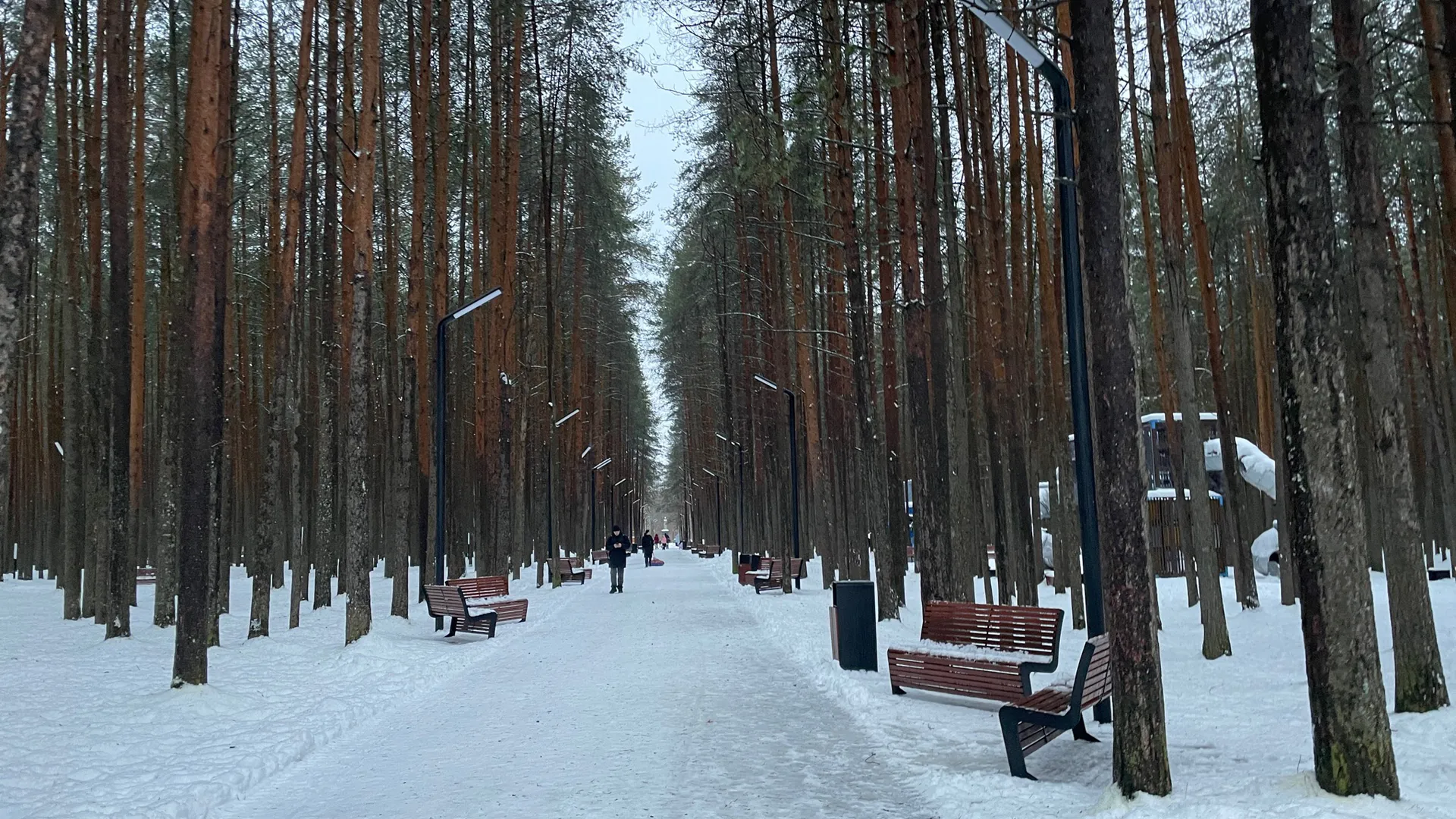 «Зимой начнется то, чего не было с 1772 года». Синоптики объявили очень тревожный прогноз