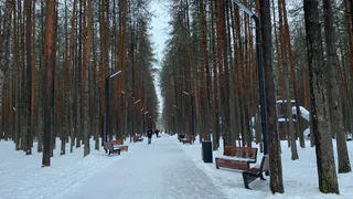 «Зимой начнется то, чего не было с 1772 года». Синоптики объявили очень тревожный прогноз