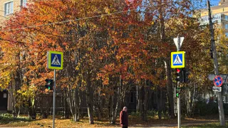 Снега не будет: в центральных регионах России ожидается необычное аномальное потепление