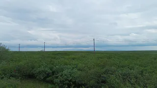 Синоптики предсказали погоду в Коми на сегодня