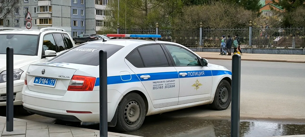 В одной из школ Коми полицейские пытались найти бомбу