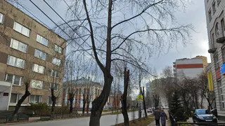 Синоптики рассказали о погоде в Коми на сегодня, 12 сентября